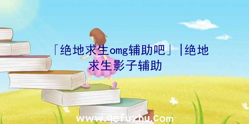 「绝地求生omg辅助吧」|绝地求生影子辅助